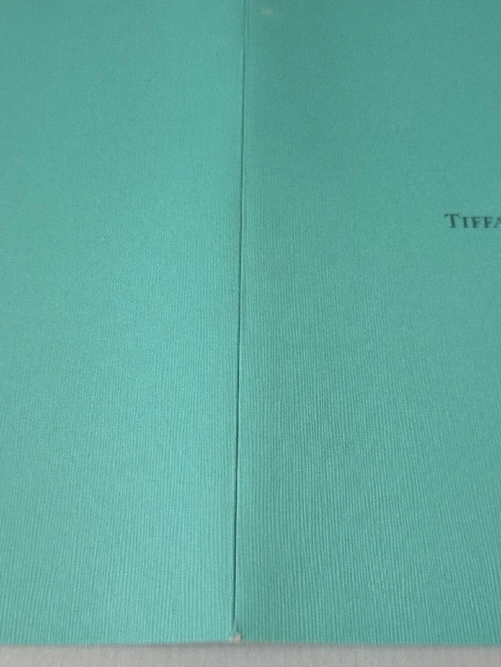Tiffany & Co. Turquoise Document Pocket Folder